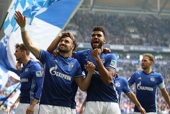 Schalke: Letzte Attacke auf Europacup-Plätze