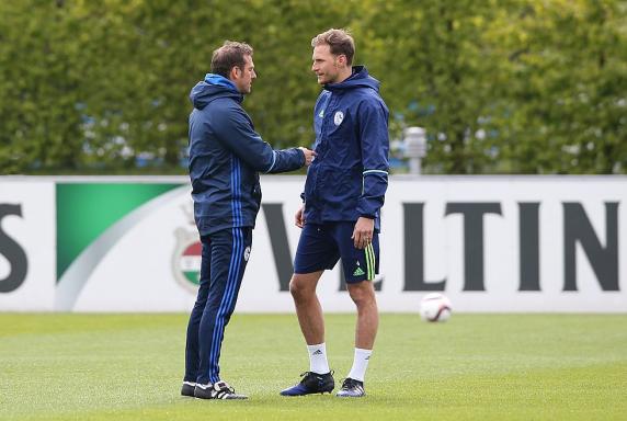 Gegen Ajax: Mit Höwedes zum Schalke-Wunder