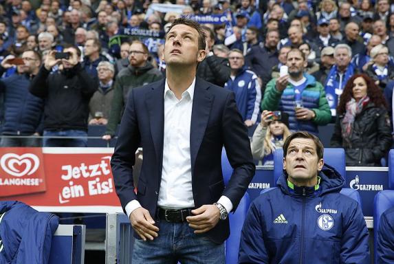 Schalke-Kommentar: Weinzierls Zukunft heißt Goretzka