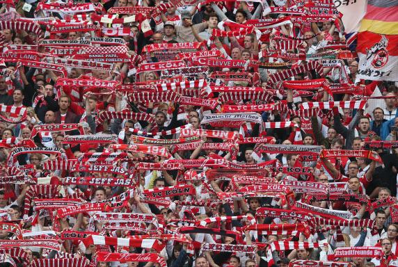 Fans, 1. FC Köln, Saison 2014/15, RheinEnergieStadion, Fans, 1. FC Köln, Saison 2014/15, RheinEnergieStadion