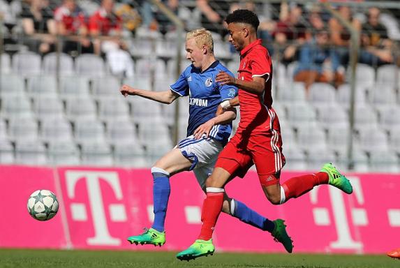 U19: Schalke will Traumfinale gegen BVB perfekt machen