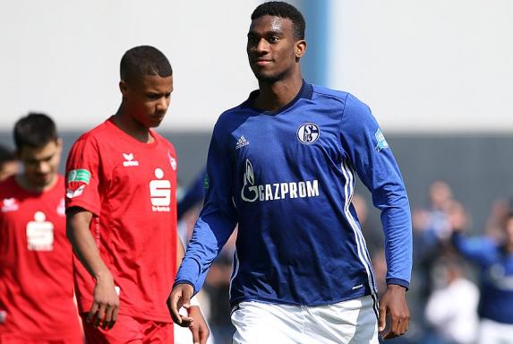 Schalke: Knappenschmiede liefert drei Talente für die Profis