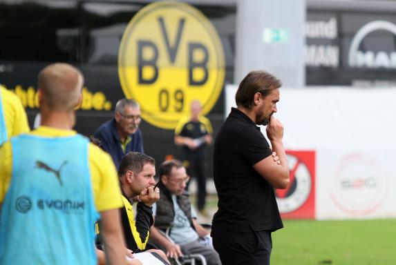BVB II, Borussia Dortmund II, Daniel Farke, Trainer