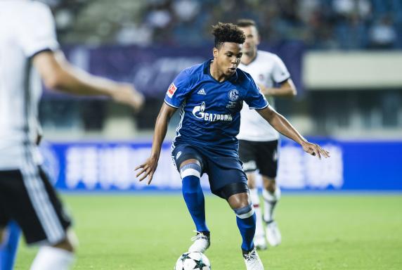 Schalke: Die jungen Wilden machen Spaß