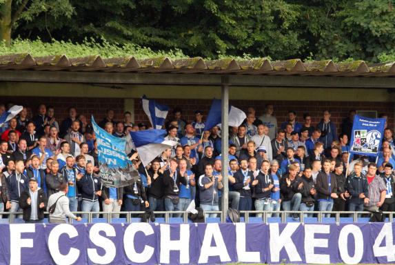 Schalke: Ultras Gelsenkirchen stellen neuen Fangesang vor