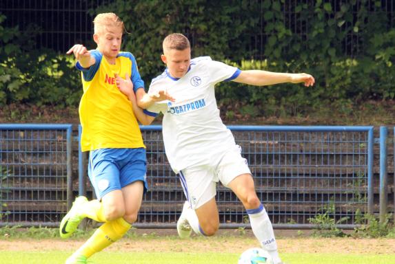 Norbert Elgert, U19 Schalke 04, Saison 2015/2016, Norbert Elgert, U19 Schalke 04, Saison 2015/2016