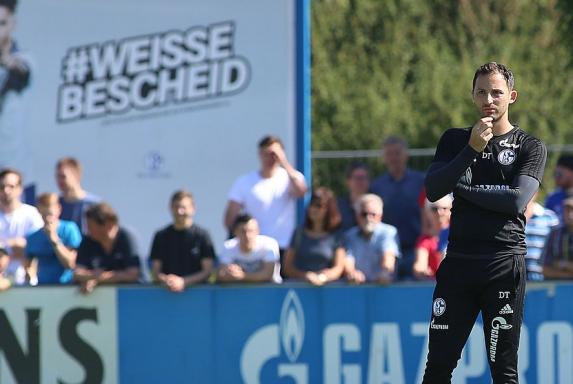 Schalke: Schöne Aussichten -beste Start seit Jahren möglich