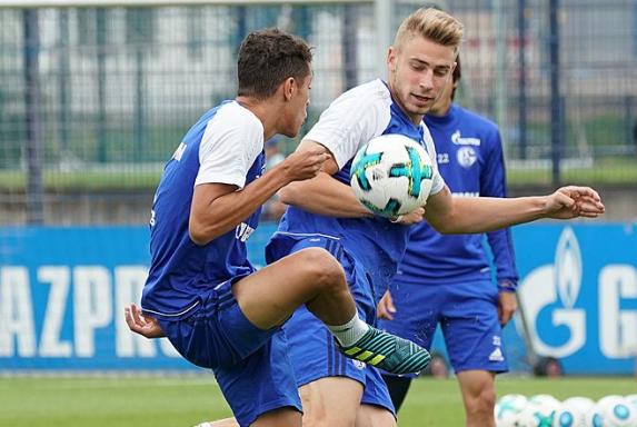 Schalke bestätigt: Platte-Wechsel perfekt