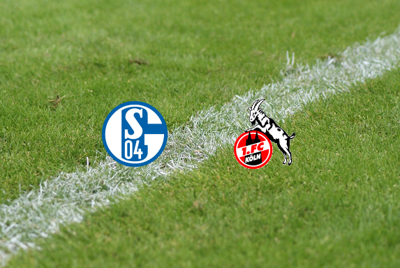 U17: Schalke bringt Köln erste Niederlage bei
