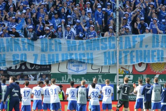 Schalke: Fans für den Fußballspruch des Jahres nominiert