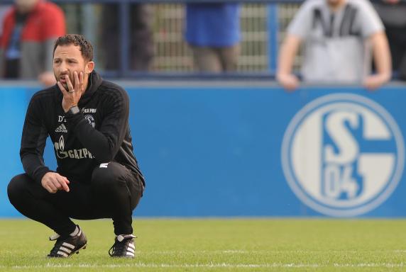 Schalke: Der gute Weg der kleinen Schritte
