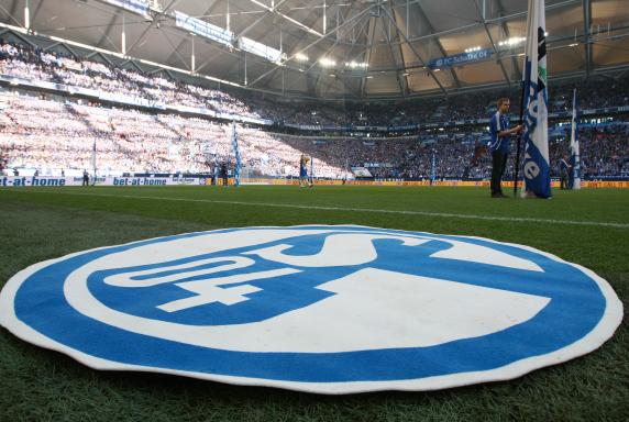 FC Schalke 04, Stadion, Logo, Fans