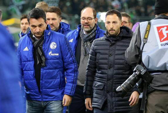 Schalke: Manager Heidel adelt Trainer Tedesco