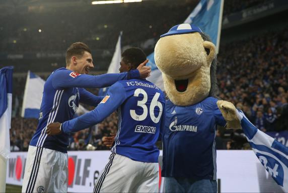 Gegen Hoffenheim: 2:1! Schalke rettet den Sieg über die Zeit