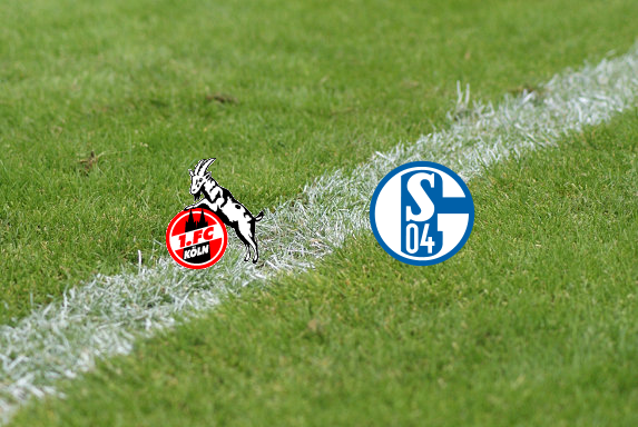 U17: Schalke nimmt drei Punkte mit nach Hause