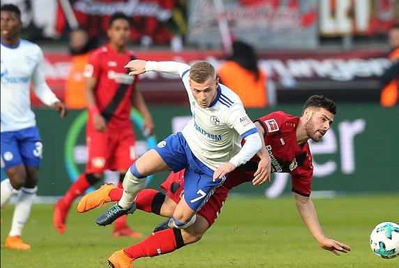 Schalke: Die Noten nach dem Spiel in Leverkusen