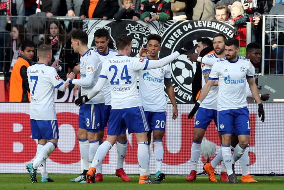 2:0 in Leverkusen: Burgstaller-Traumtor lässt Schalke jubeln