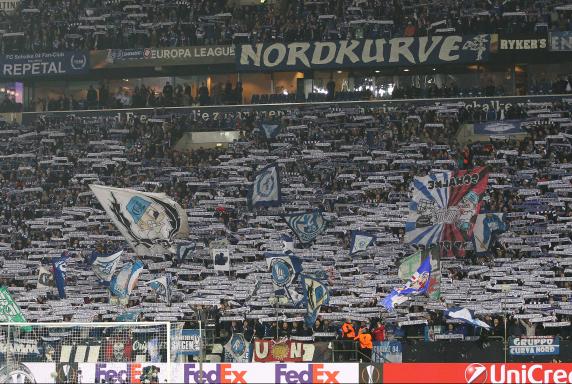 Schalke-Fans, Schalke-Fans