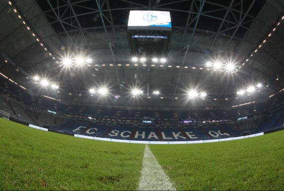 Länderspiel: DFB-Team auf Schalke gegen die Niederlande