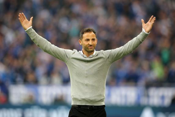 Schalke: Als Tedesco die Fans nach dem Derby versorgte