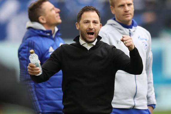 Schalke: Tedesco-Lob: "Besser kann man das kaum spielen"