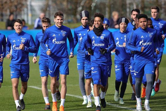 Schalke: Vier Mann trainierten individuell, McKennie zurück