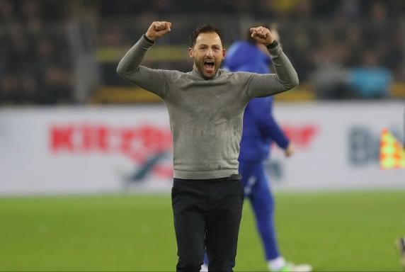 Schalke: Tedesco bricht Lanze für BVB-Trainer Stöger