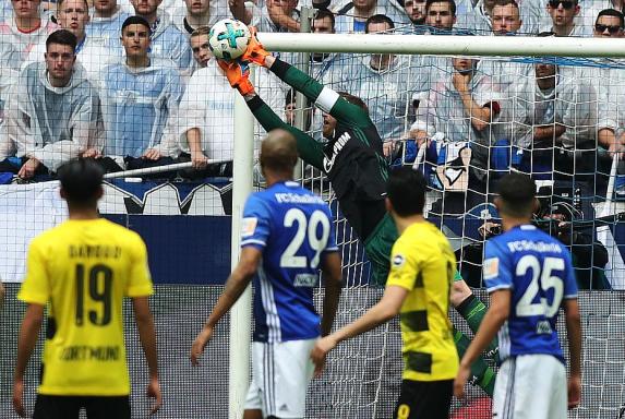 2:0 gegen den BVB: Schalke 04 bleibt die Nummer eins im Pott