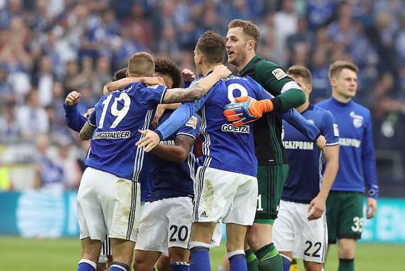 Schalke: Mit zwei Siegen geht's satt in die Königsklasse