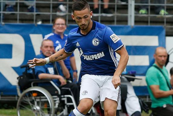 Interesse aus Köln?: Avdijaj gegen Schalke im Stadion