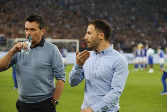 Schalke: In Augsburg stehen 35 Millionen auf dem Spiel