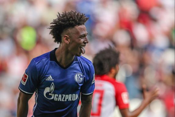 Schalke jubelt: Champions League, Vize-Meister und Nummer 1 im Pott!