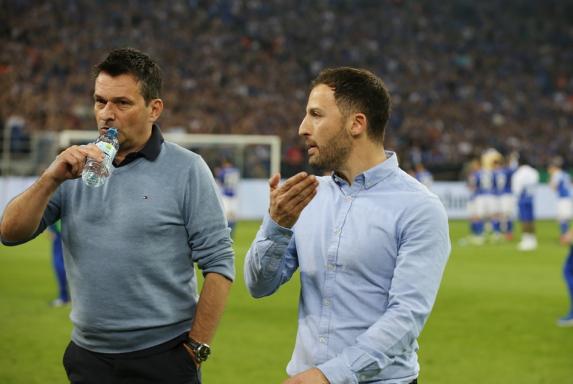 Schalke: Tedescos Bausteine für den Erfolg