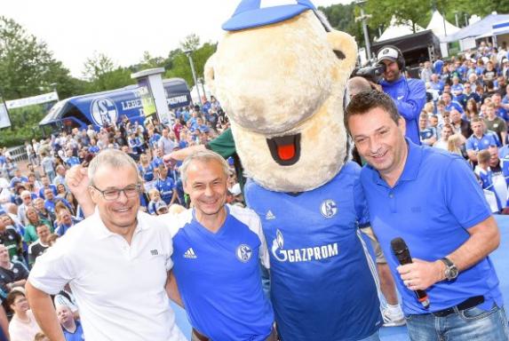 Termin für Schalke-Tag steht: Saisoneröffnung am 12. August