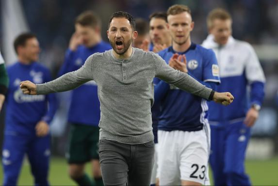 Schalke: Tedesco für Bundesliga-Profis der beste Trainer