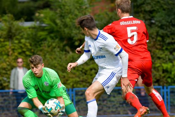 Nach zwei Dortmundern: Holstein Kiel holt Schalke-Duo