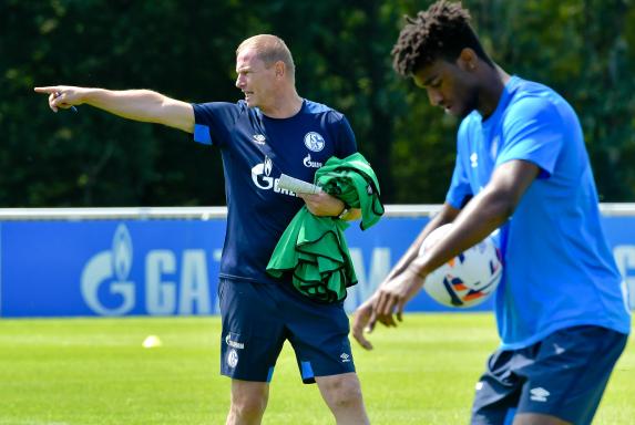 Schalke U23: Wright nimmt Training auf - Avdijaj nicht
