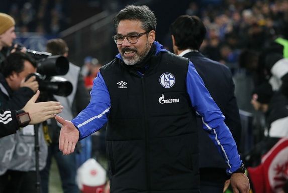 Heiß auf das letzte Spiel des Jahres: Schalke-Trainer David Wagner (