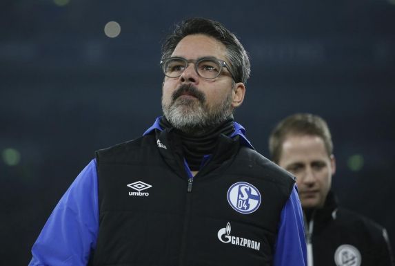 Das Team von Schalke-Trainer David Wagner testet gegen VV St. Truiden.