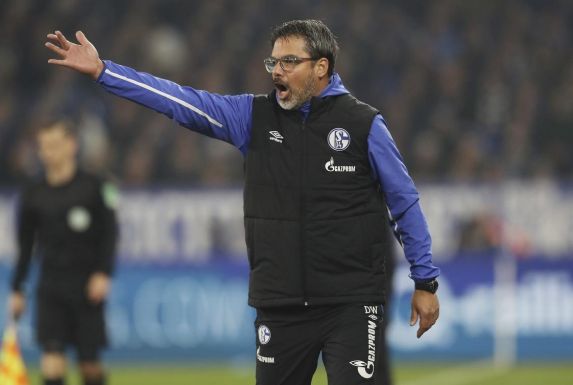 Schalkes Trainer David Wagner.