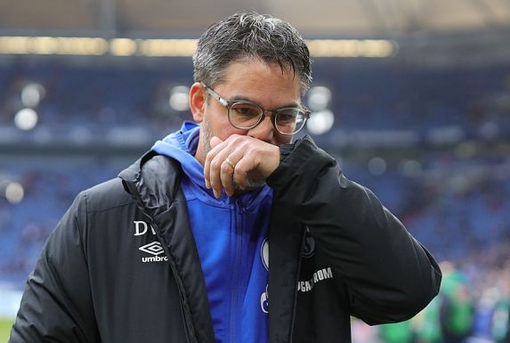 Bedient: Schalke-Trainer David Wagner (