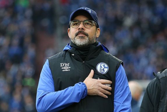 Schalke-Trainer David Wagner beim Spiel gegen die TSG Hoffenheim.
