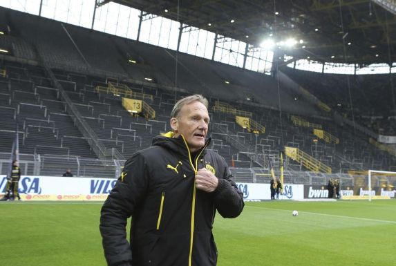 BVB-Boss Hans-Joachim Watzke respektiert die Entscheidung der DFL, sah aber auch andere Ansätze.
