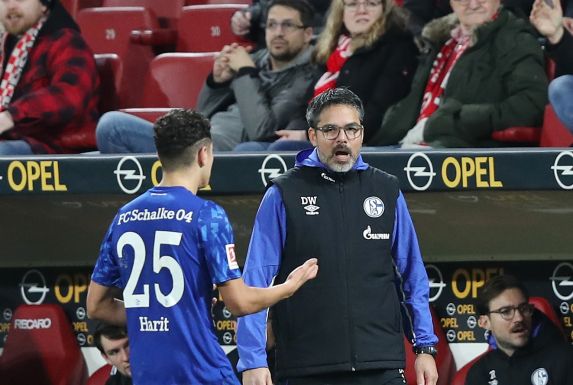 Amine Harit darf sich über die Unterstützung von Schalke-Trainer David Wagner freuen.