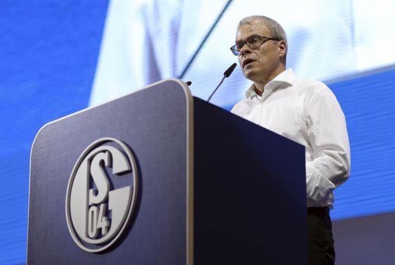 Peter Peters fungiert als Vorstand Finanzen und Organisation des Fußball-Bundesligisten FC Schalke 04.