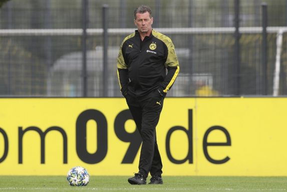 Michael Skibbe sollte im Sommer die U23 von Borussia Dortmund übernehmen.