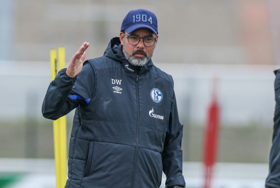 Schalke-Trainer David Wagner steht vor richtungsweisenden Wochen.