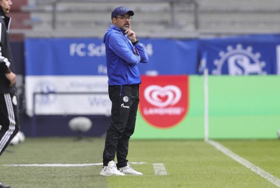 David Wagner, Trainer des FC Schalke 04, beobachtet nachdenklich das Spiel seines Teams gegen den FC Augsburg.