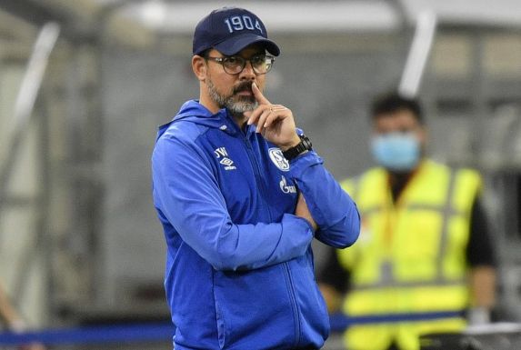 Schalke-Trainer David Wagner sieht sich das Spiel seiner Mannschaft skeptisch an.