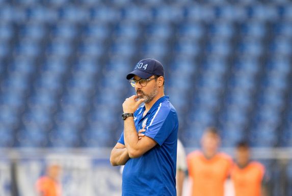 Der FC Schalke 04 um Trainer David Wagner wartet seit elf Spielen auf einen Sieg.